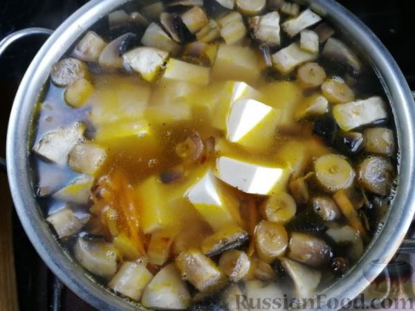 Сырный суп с тыквой и шампиньонами